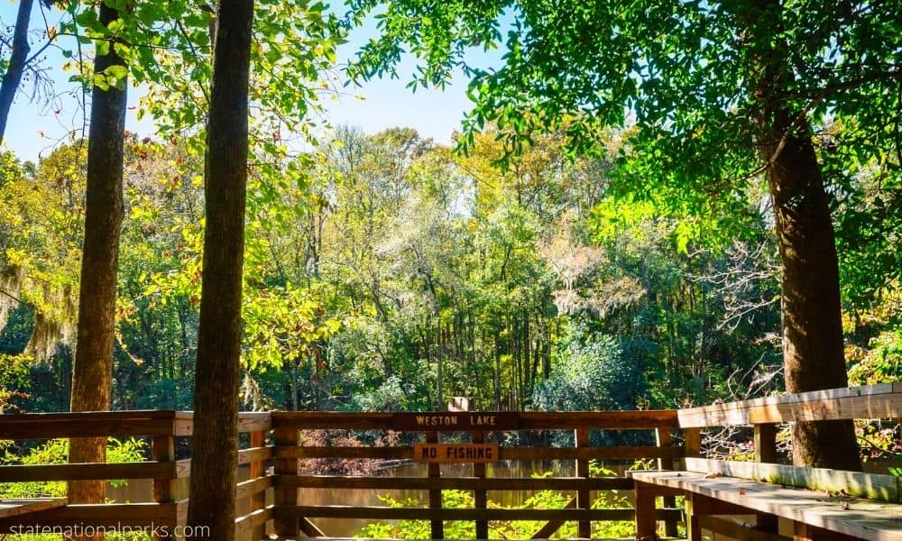 Congaree National Park