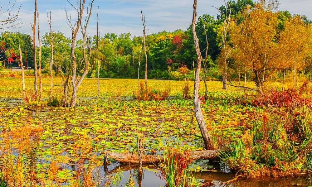 Cuyahoga Valley National Park