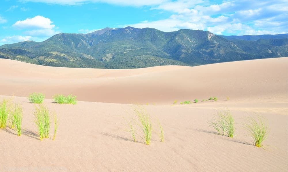 Great Sand Dunes National Park