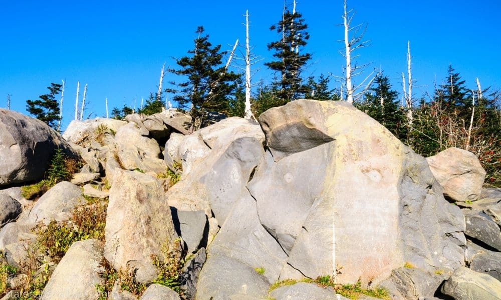 Great Smoky Mountains National Park