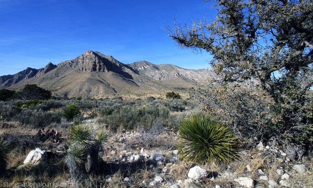 Guadalupe Mountains National Park