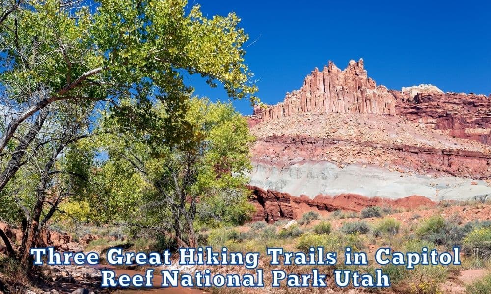 Three Great Hiking Trails in Capitol Reef National Park Utah