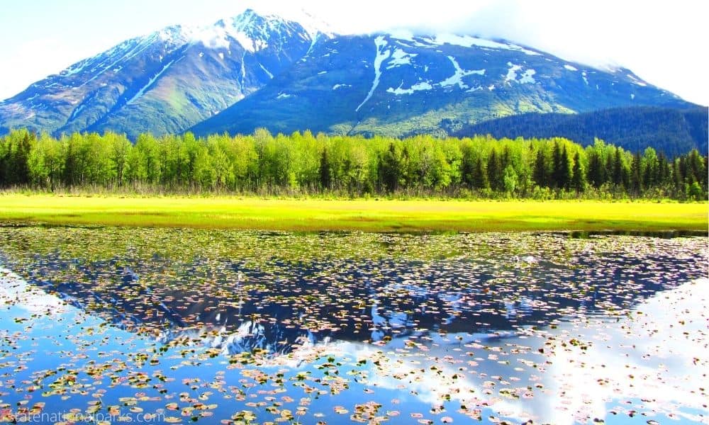 What You Can Do in the Kenai Fjords National Park
