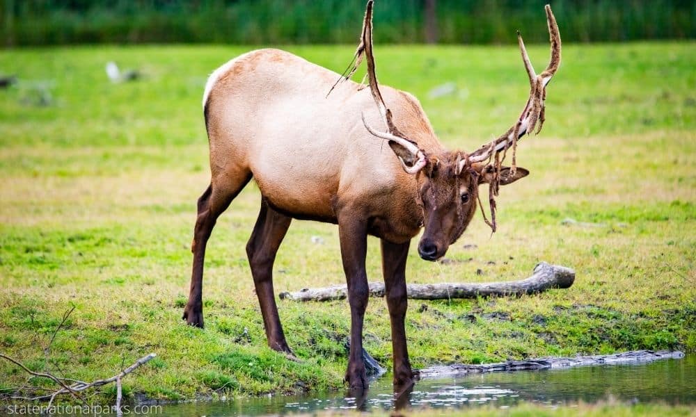 Kobuk Valley National Park in Alaska