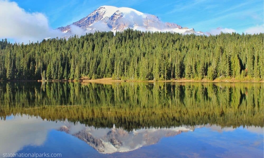 Exploring Mount Rainier National Park