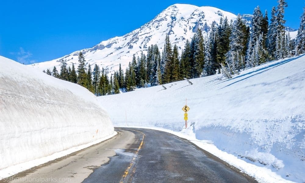 Exploring Mount Rainier National Park