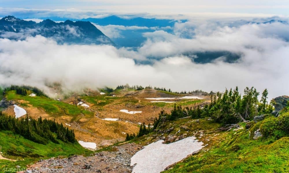 Visit Mount Rainier National Park