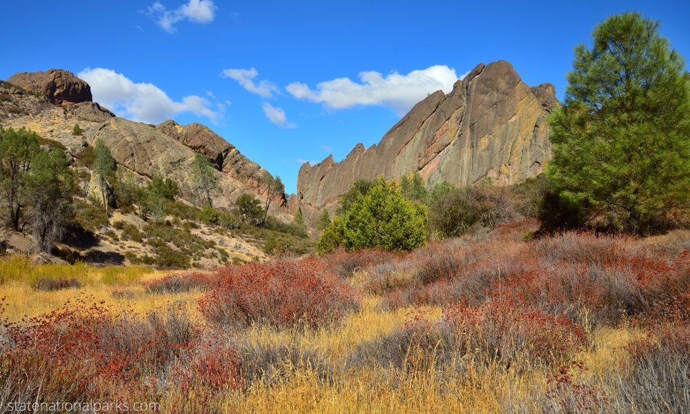 Hiking Options Within Pinnacles National Park