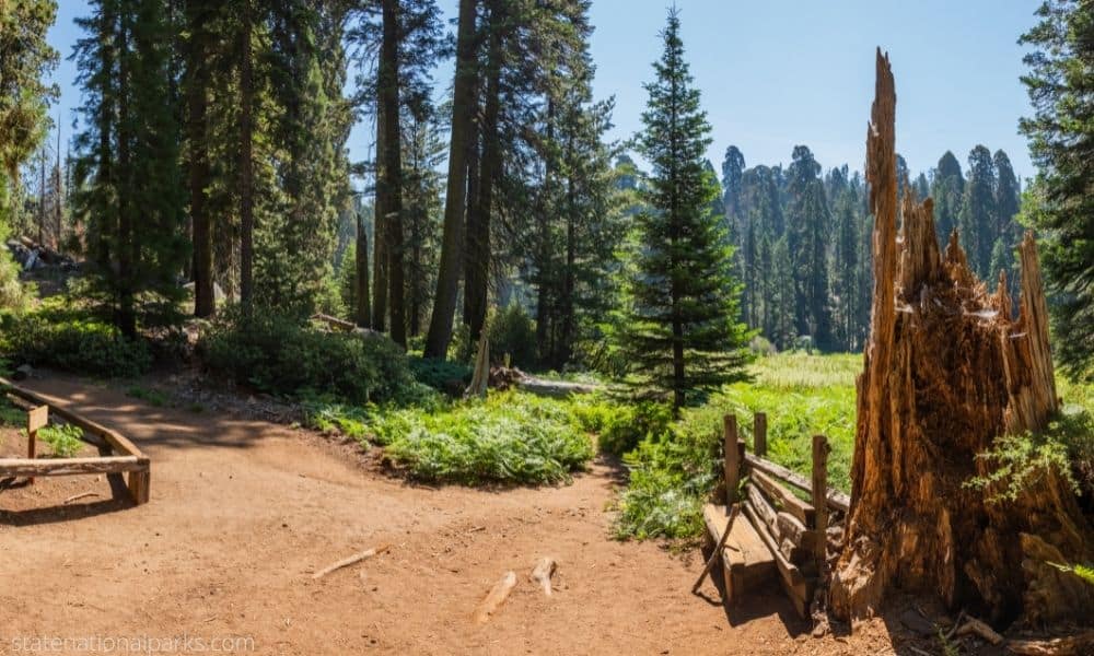 Sequoia National Park