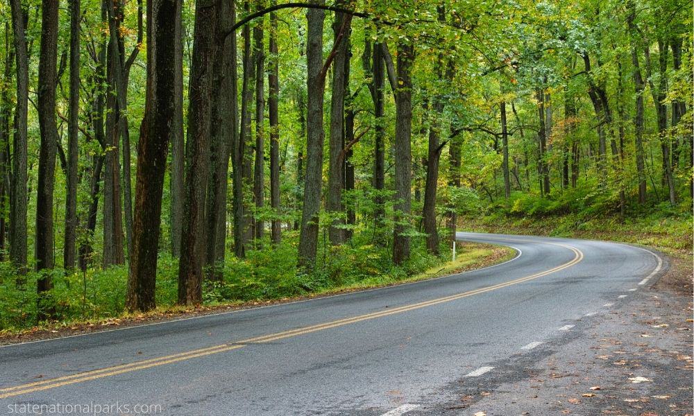 Visit Shenandoah National Park