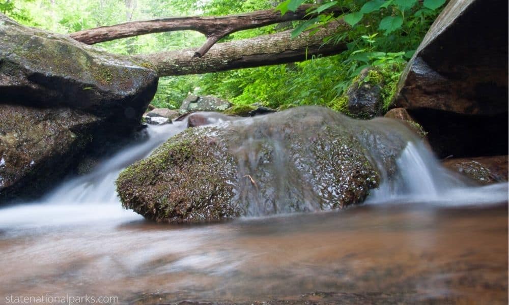 Shenandoah National Park - Vacations in The Blue Ridge Mountains