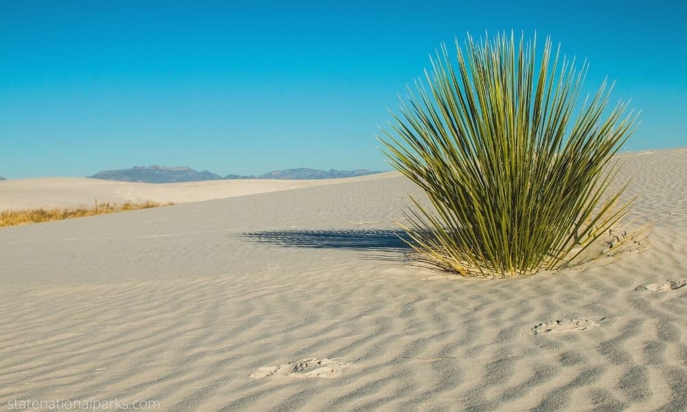 White Sands National Park