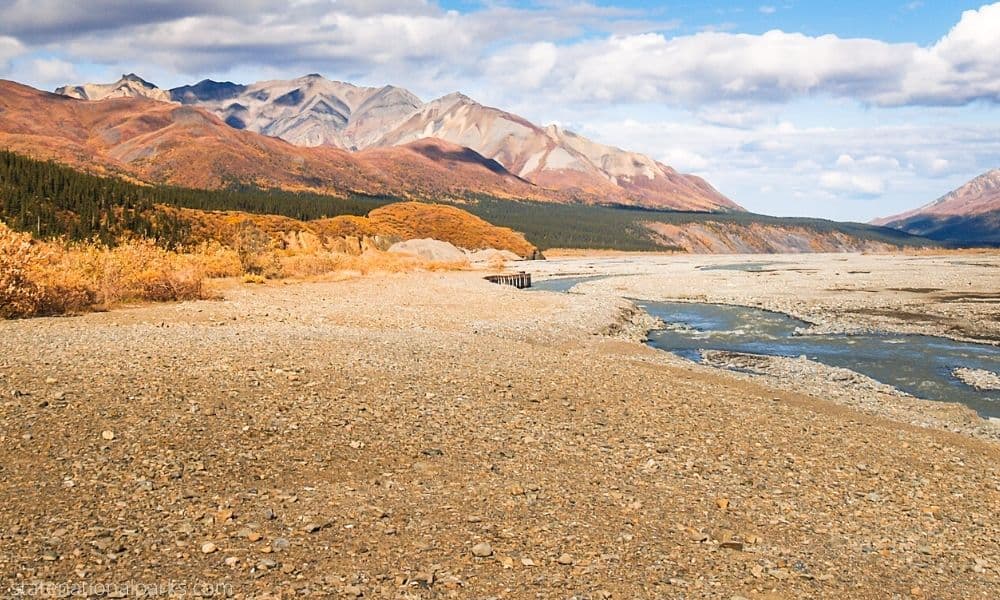 Denali National Park Camping 