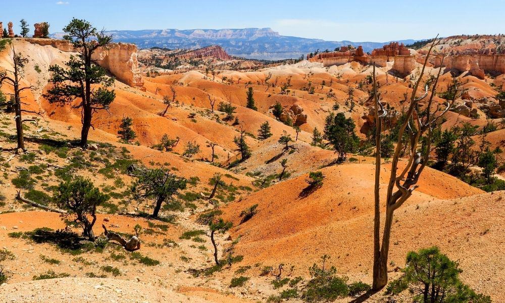 Things To Do In Bryce Canyon Utah