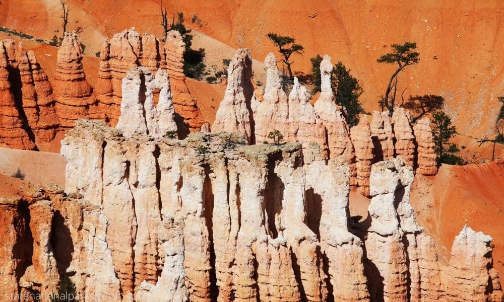 Bryce Canyon