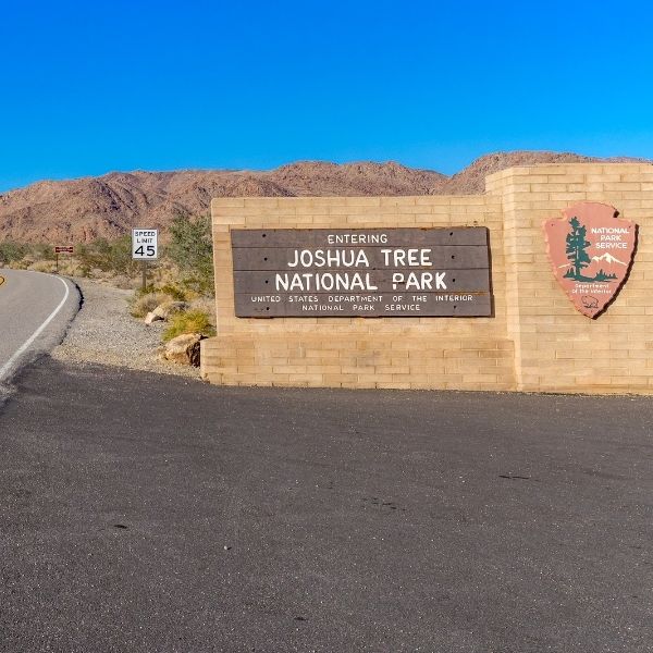 Joshua Tree National Park Guide