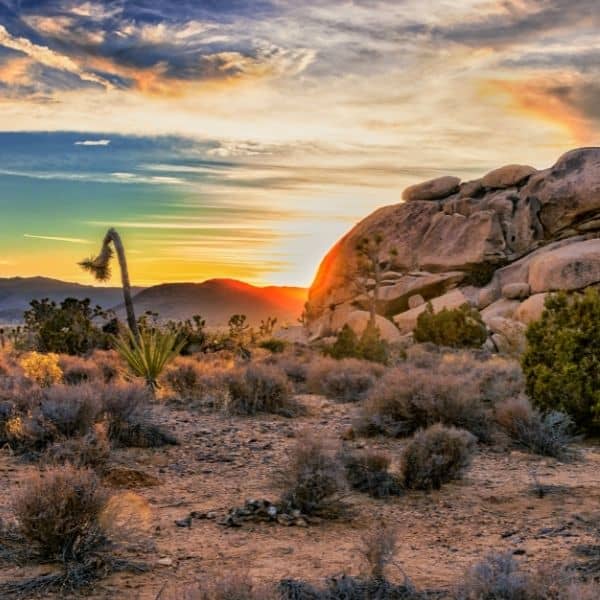 Joshua Tree National Park California - Things To Do