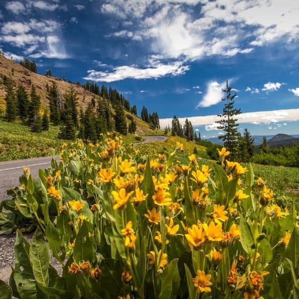 Camping at Lassen Volcano - Discover What It Has To Offer