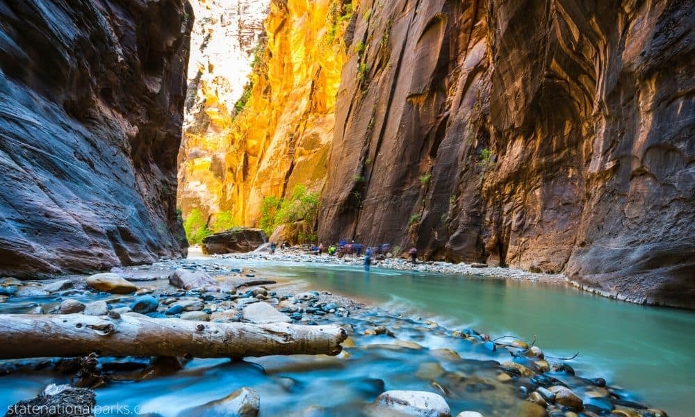 Visit Zion National Park