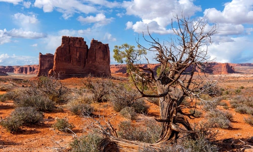 Visit Arches National Parks in Utah