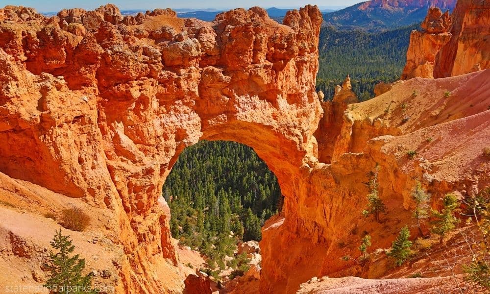 Hiking in the Bryce Canyon