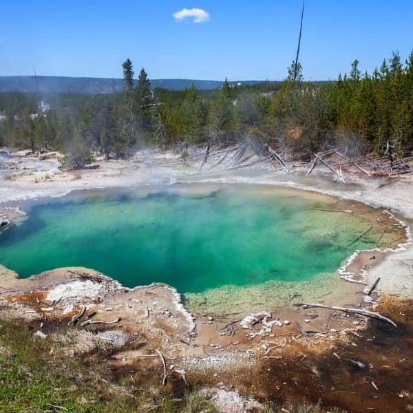 Why You Should Camp in Yellowstone National Park