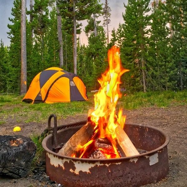 Why You Should Camp in Yellowstone National Park