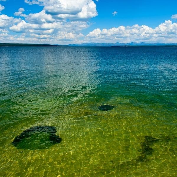 Trip to Yellowstone National Park