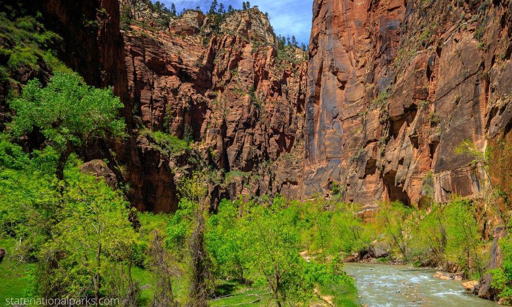 Zion National Park