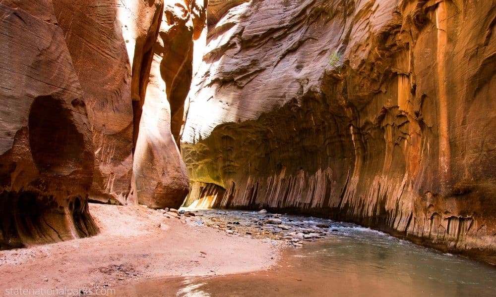 Zion National Park The Narrows And Shuttle Reservations 