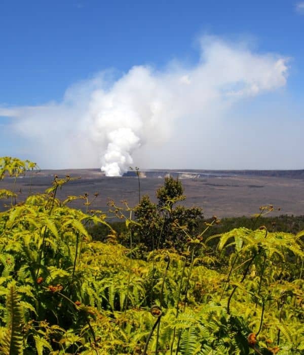 Hawaii Volcanoes National Park Vacation - Make Some Memories