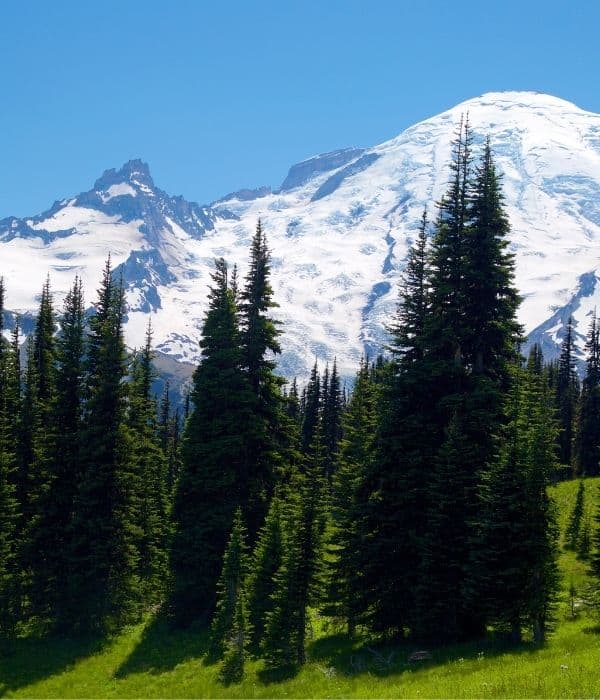 Mount Rainier National Park 