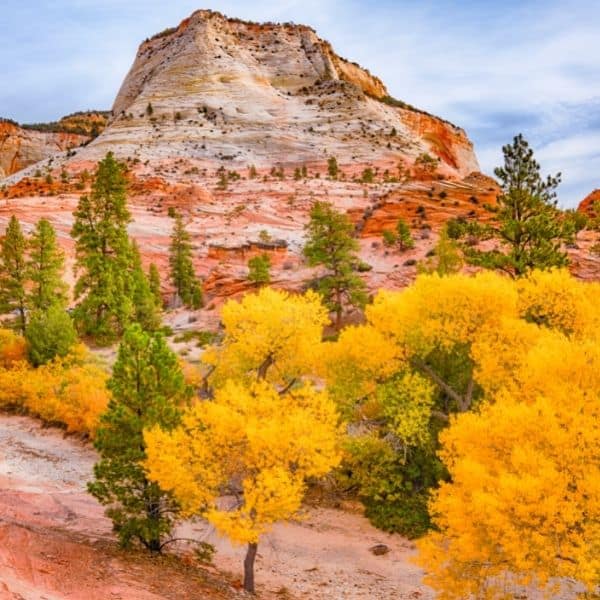 Zion National Park And Surrounding Utah Areas