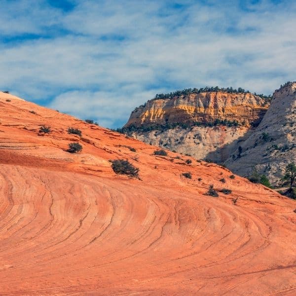 Zion National Park Hiking And Trail Adventures