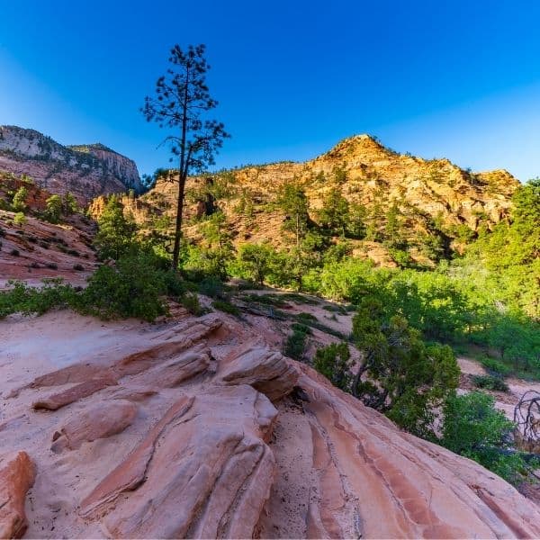 Zion National Park Hiking