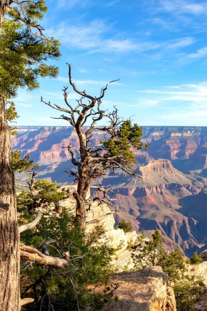 Camping in the Grand Canyon