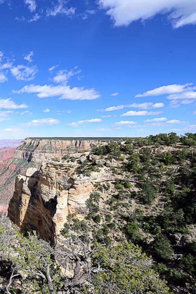 Grand Canyon's Wildlife