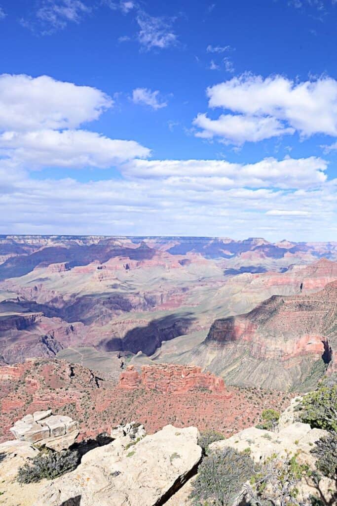 Grand Canyon's Wildlife