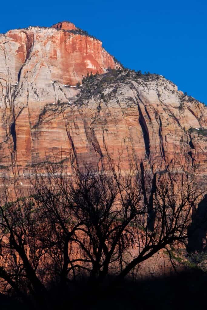 Zion National Park Camping