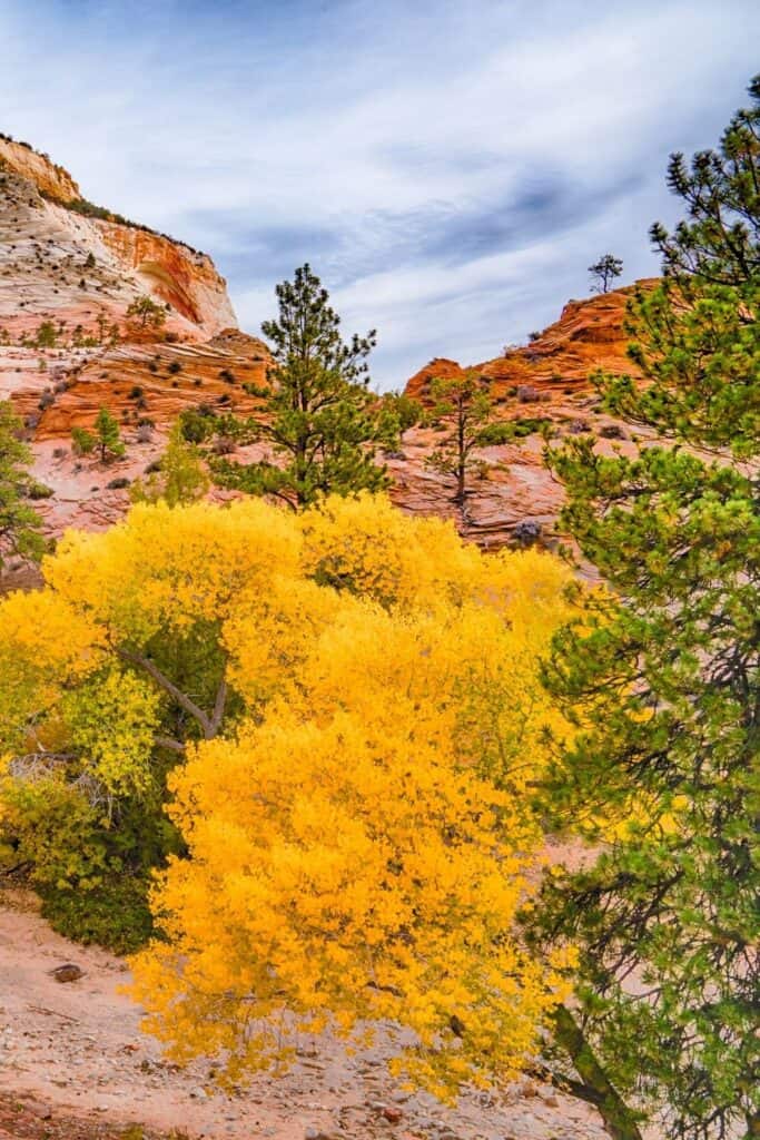 Zion National Park Facts