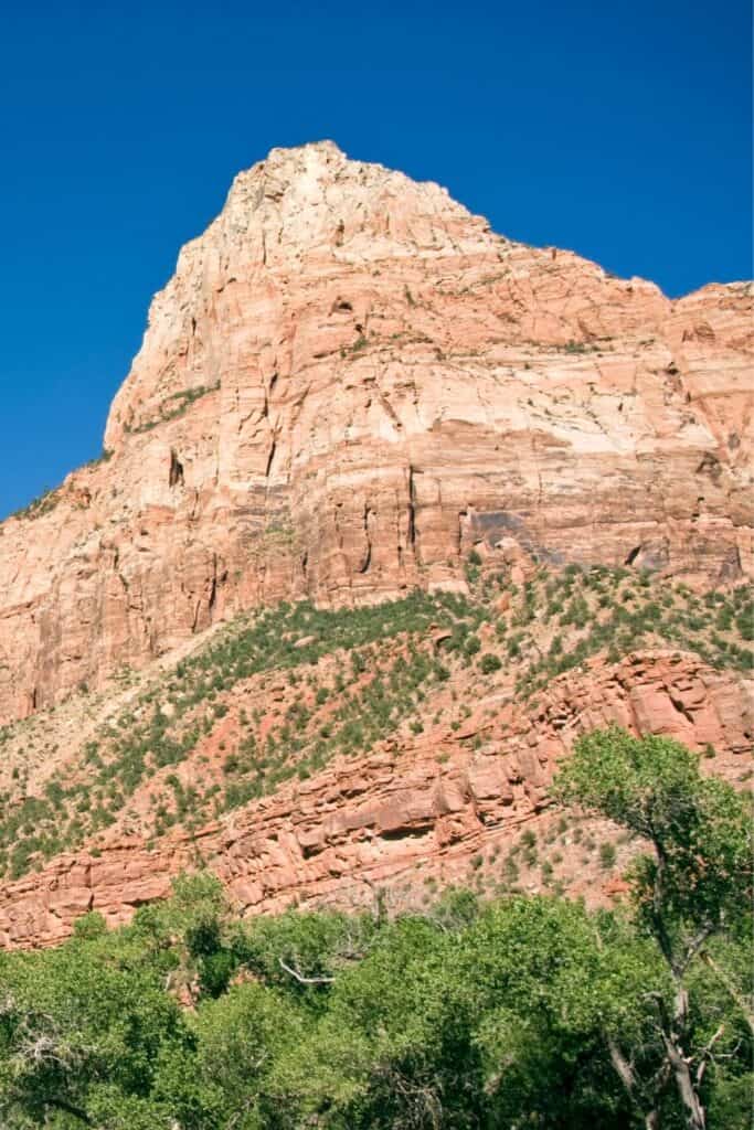 Zion National Park Trails