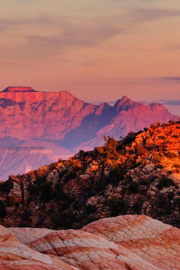 Zion National Park Camping