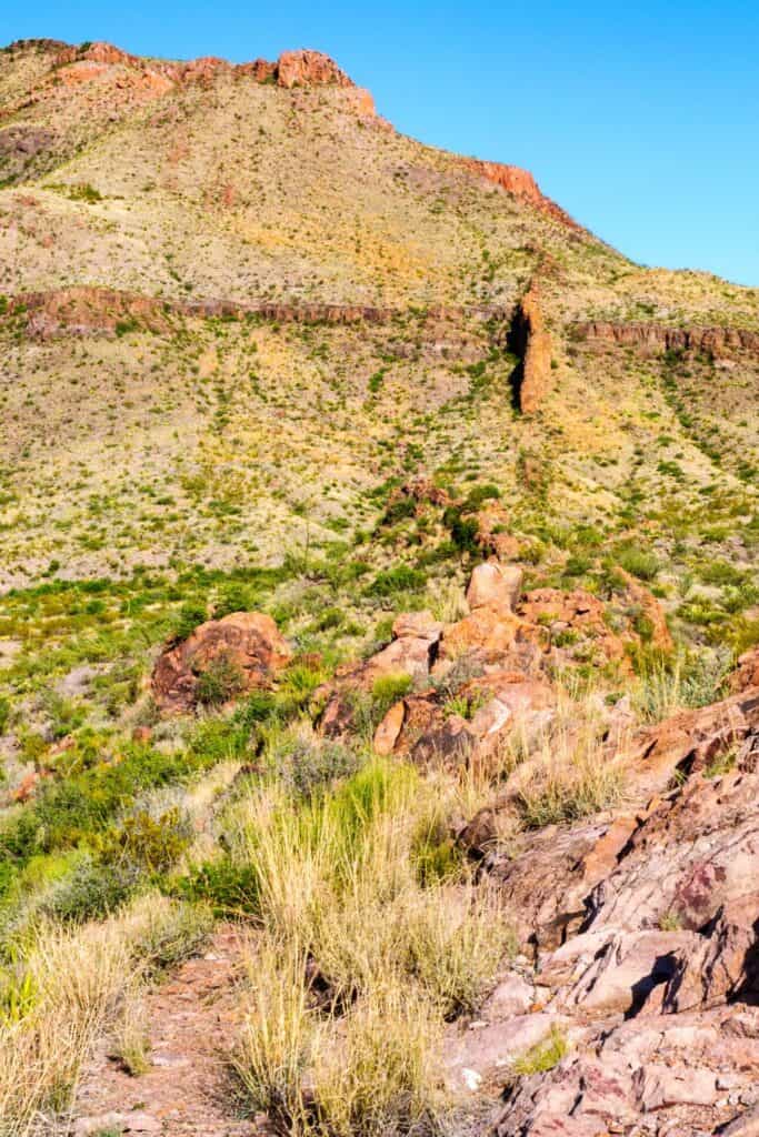 12 Things To Do In Big Bend National Park