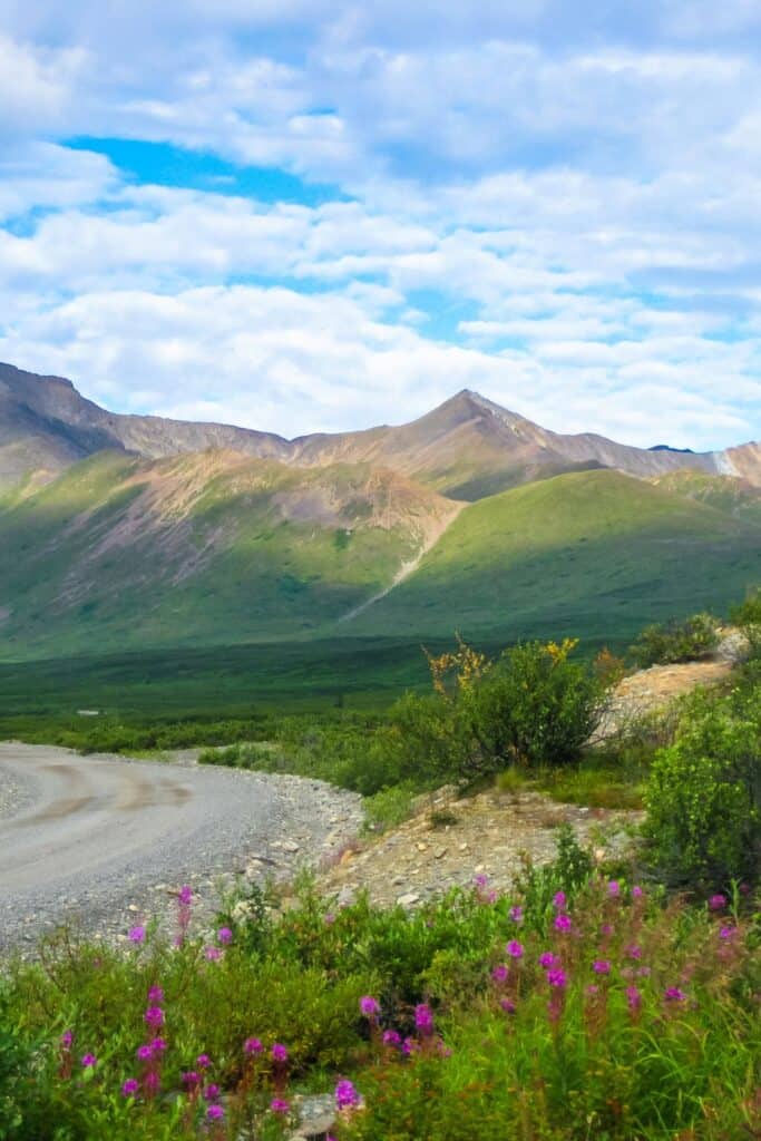 Denali National Park