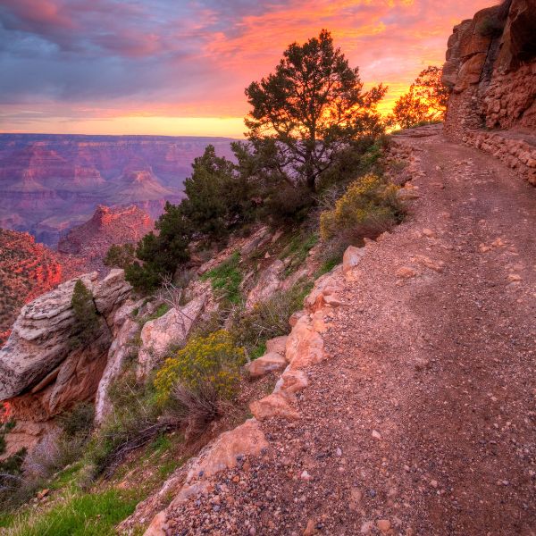 Grand Canyon Trails