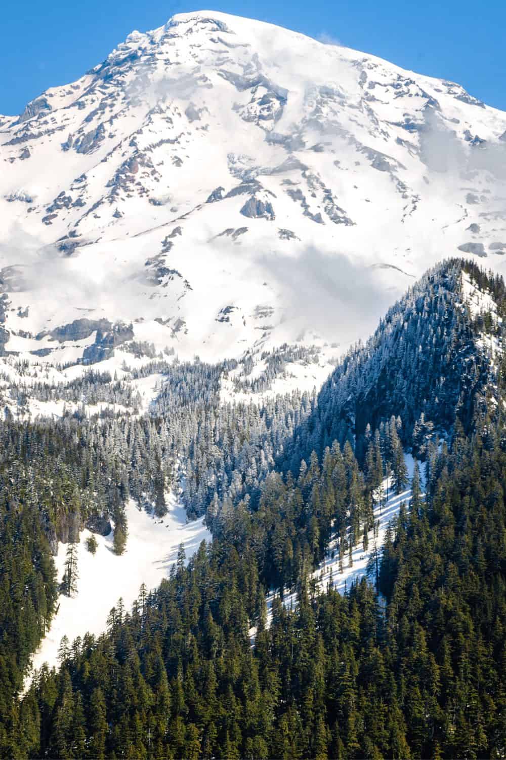 Hiking In Mount Rainier National Park