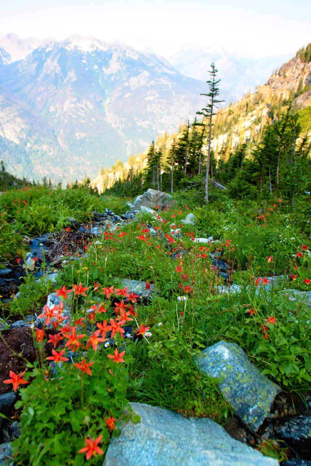 North Cascades National Park Photography