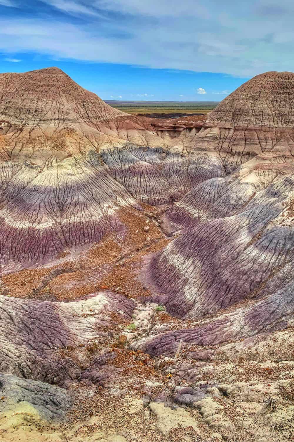 Petrified Forest National Park