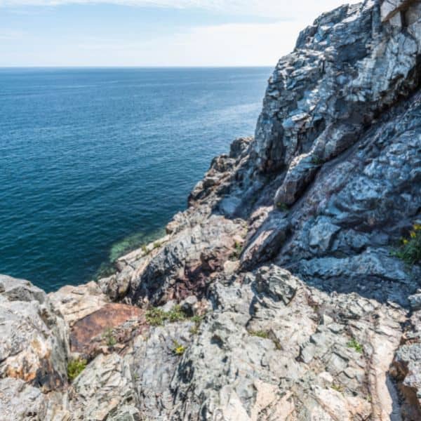 What To See And Do In Acadia National Park?