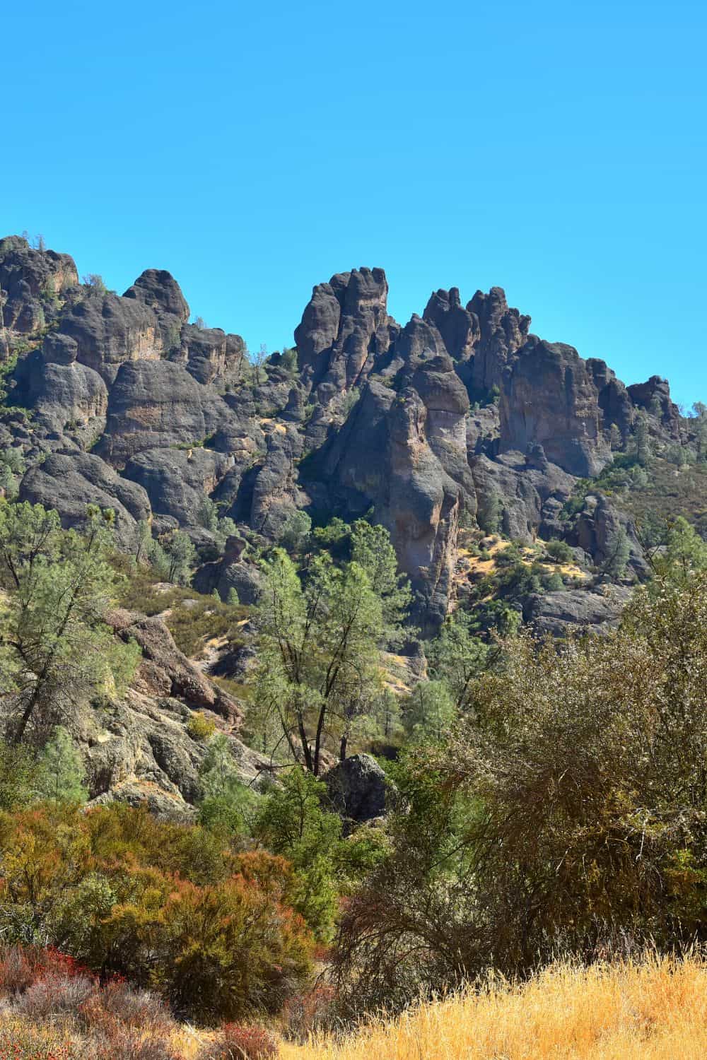 10 Things to Do and See at Pinnacles National Park